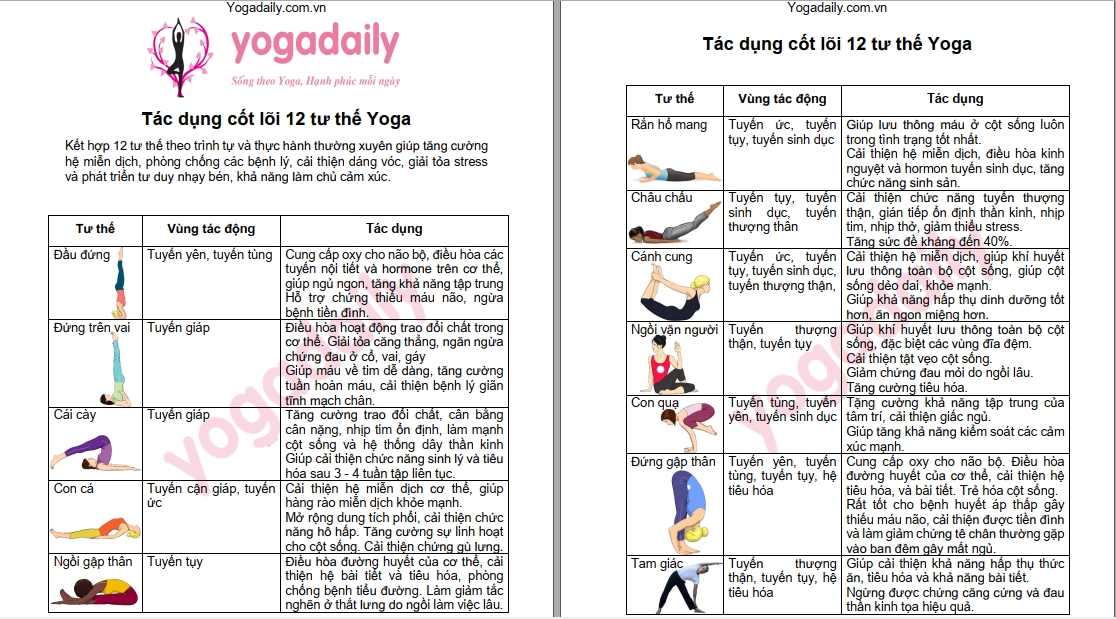 tác dụng 12 tư thế yoga cơ bản