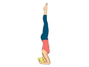 đầu đứng - headstand