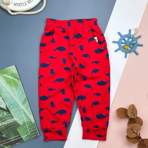 [🛒🇻🇳]Quần nỉ da cá họa tiết 6/10T – facebook , SKU – PVN17782 – litibaby.com 🇻🇳🛒Top1Shop🛒 🇻🇳Top1Vietnam🇻🇳 🛍🛒🇻🇳