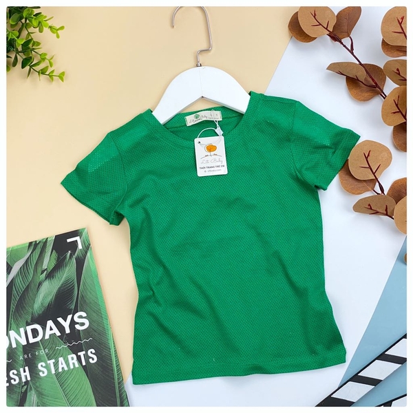 [🛒🇻🇳]AVL01-Áo BT vải lưới trơn 1/10 – facebook , SKU – PVN4753 – litibaby.com 🇻🇳🛒Top1Shop🛒 🇻🇳Top1Vietnam🇻🇳 🛍🛒🇻🇳