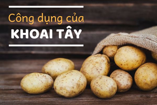 Công dụng của khoai tây