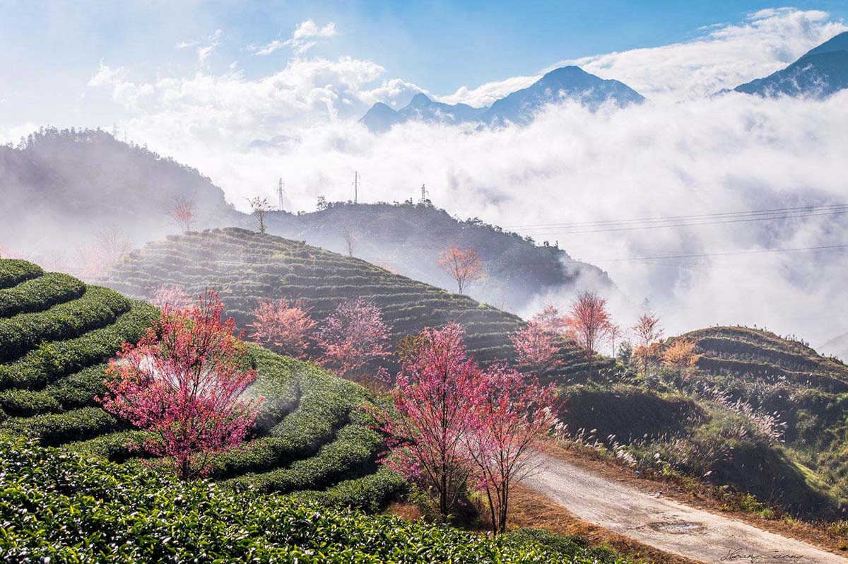 du lịch sapa