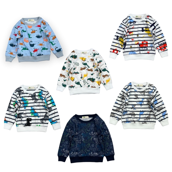 [🛒🇻🇳]Áo Bé trai Thu đông hình, bo tay 6/10 – facebook , SKU – PVN21544 – litibaby.com 🇻🇳🛒Top1Shop🛒 🇻🇳Top1Vietnam🇻🇳 🛍🛒🇻🇳