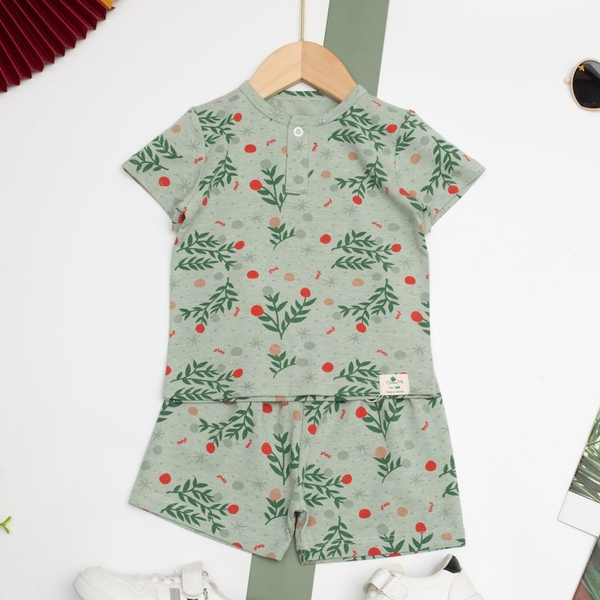 [🛒🇻🇳]Bộ sơ sinh 2 cúc ngắn tay 9/36m – facebook , SKU – PVN25345 – litibaby.com 🇻🇳🛒Top1Shop🛒 🇻🇳Top1Vietnam🇻🇳 🛍🛒🇻🇳