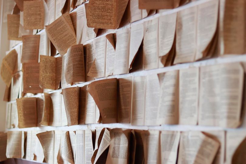 [☕️🇻🇳] Mai Cafe- Cà phê, nước uống và bánh ngọt 🥤 Top1Coffee ☕️ Something new in Maicafe   
#caphesach #sadec #caphesadec #sadeccity
 · 

 , shares-3✔️ , likes-74❤️️ , date-2023-08-09 10:10:42🇻🇳🇻🇳🇻🇳📰🆕