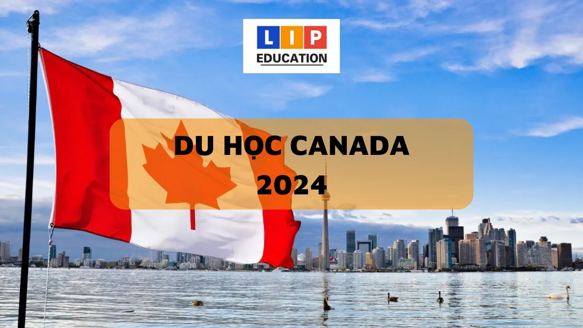 Du Học Canada 2024 – Điều Kiện, Chi Phí, Học Bổng,…