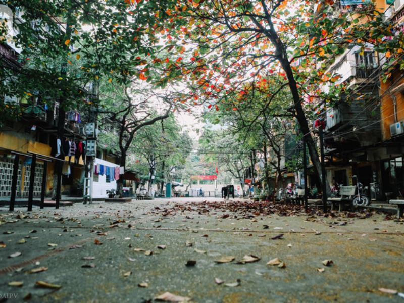 top-10-bai-tho-tinh-mua-dong-ngan-lang-man-3275
