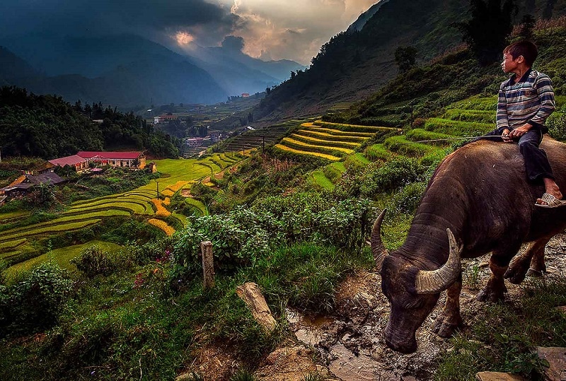 Những địa điểm du lịch miền Bắc, bản Cát Cát Sapa