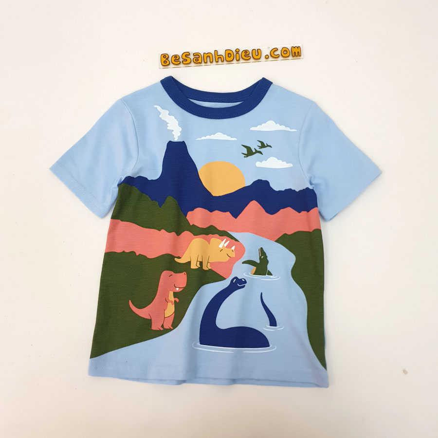 [🛒🇻🇳][16kg-18kg] Áo bé trai size nhí vải thun cotton mịn mát hàng xuất xin màu xanh – The Childrens Place , SKU – AN502-45 – besanhdieu.com 🇻🇳🛒Top1Shop🛒 🇻🇳Top1Vietnam🇻🇳 🛍🛒🇻🇳