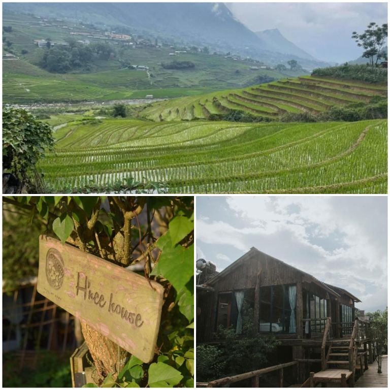 Homestay ở Tả Van Sapa. H’nee House Tả Van