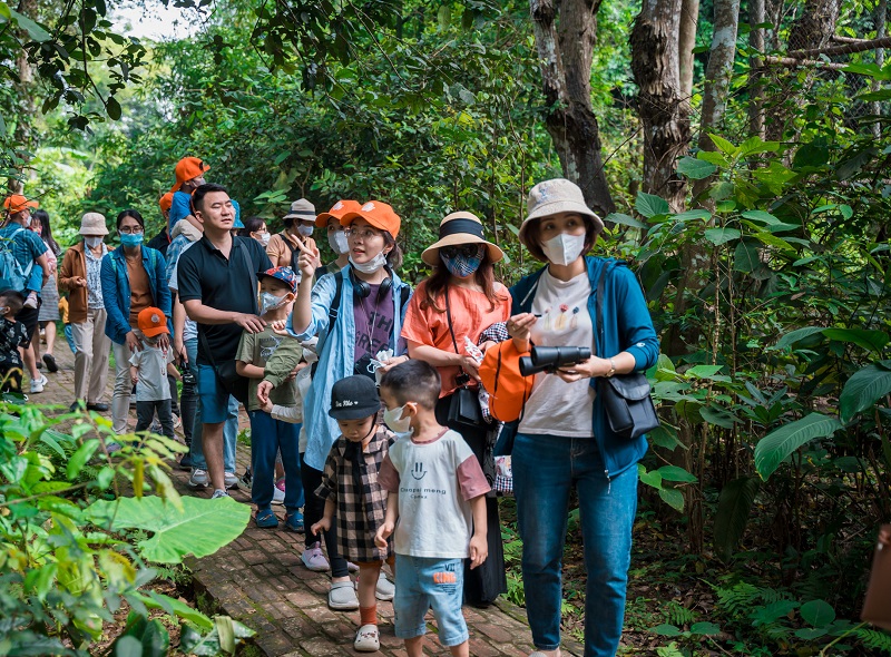 Gợi ý lịch trình du lịch Ninh Bình 3 ngày 2 đêm. VQG Cúc Phương