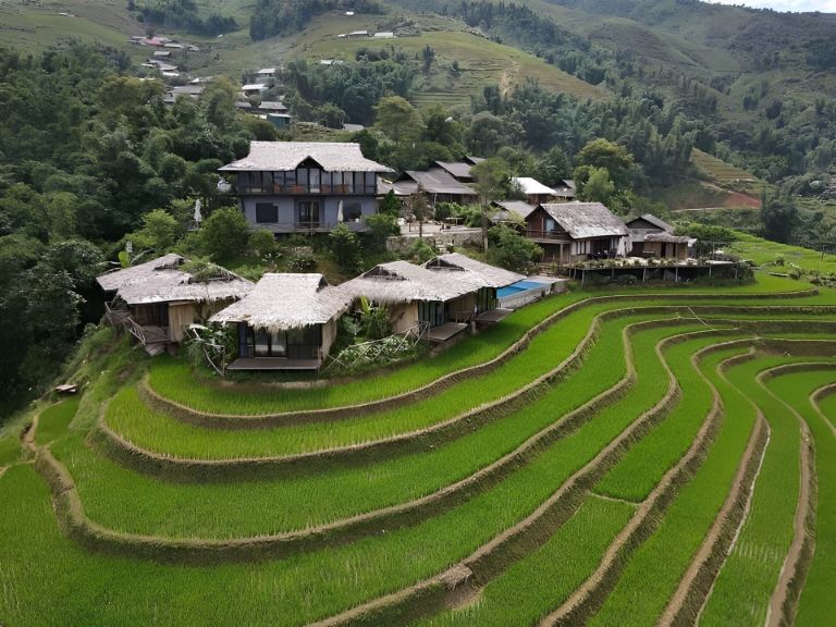 Homestay ở Tả Phìn Sapa. Tả Phìn Lodge