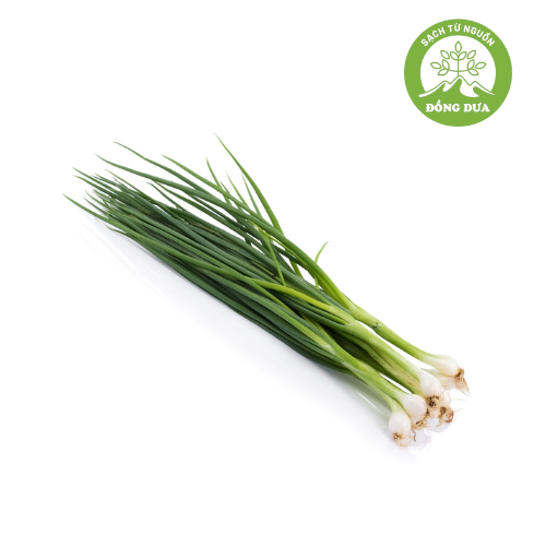 [🛒🇻🇳]Hành lá Vietgap 100g_Đồng Dưa – Đang cập nhật , SKU – 230300661 – soibien.vn 🇻🇳🛒Top1Shop🛒 🇻🇳Top1Vietnam🇻🇳 🛍🛒🇻🇳
