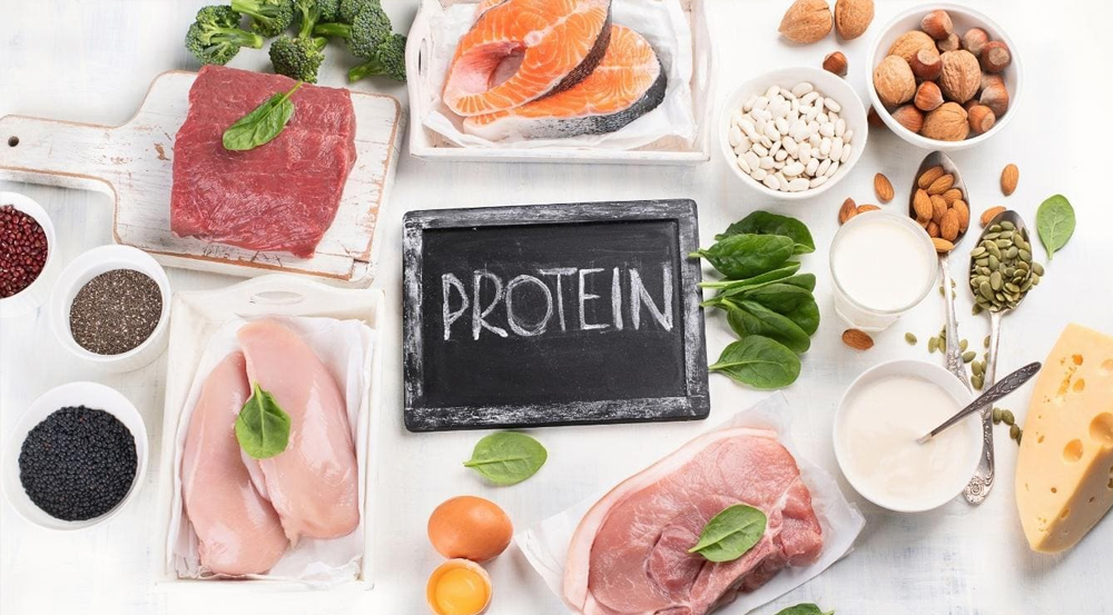 Cách tính protein cần nạp trong một ngày đối với gymer [🆕🇻🇳] citigym.com.vn