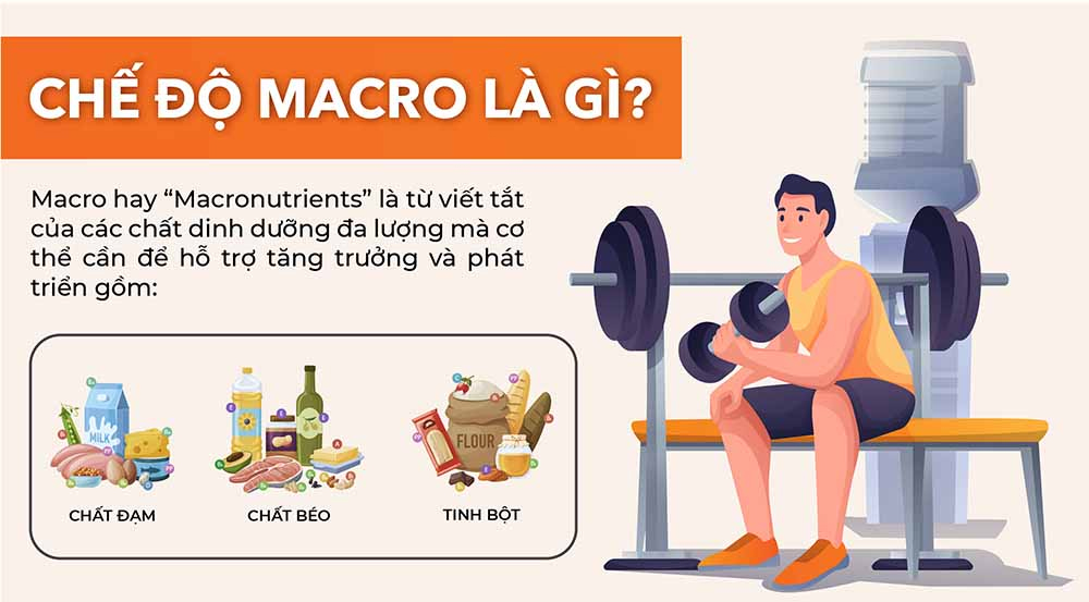 Chỉ số Macro là gì? Cách tính chỉ số Macro cho dân tập gym [🆕🇻🇳] citigym.com.vn