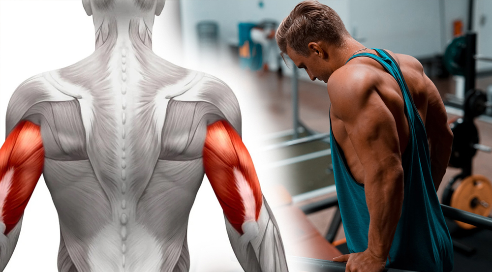 [🆕🇻🇳] Amazing Fitness and Yoga Center 🧘 Top1Yoga 🧘 Học bơi cùng Amazing Pool #Amazing#Amazingpool#hocboitreem
 , shares-0✔️ , likes-0❤️️ , date-2024-04-11 16:58:35🇻🇳🇻🇳🇻🇳📰🆕