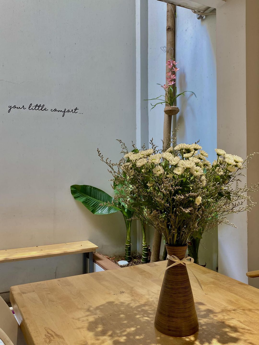 [🆕🇻🇳] MamimO Shop – Bán buôn – bán lẻ thời trang xuất khẩu trẻ em 😎❤️️⭐️ Đồ bơi Mainy về sẵn nhiều mẫu
 , shares-0✔️ , likes-15❤️️ , date-2024-04-26 06:29:29🇻🇳🇻🇳🇻🇳📰🆕