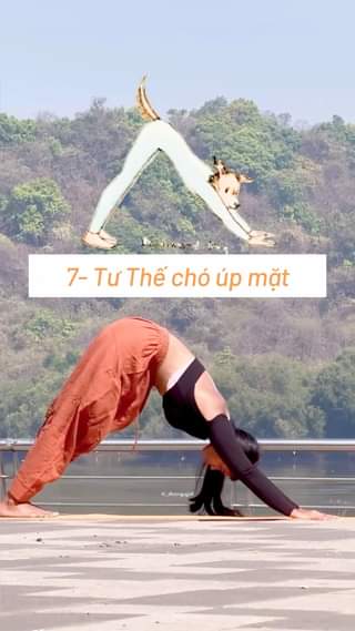 [🆕🇻🇳] Nguyễn Hiếu Yoga🧘 Top1Yoga 🧘 Những động tác yoga được lấy cảm hứng từ động vật. Các bạn chinh phục được hết các tư thế này chứ?  #yoga #tambooksyoga
 , shares-0✔️ , likes-482❤️️ , date-2024-05-11 14:00:08🇻🇳🇻🇳🇻🇳📰🆕