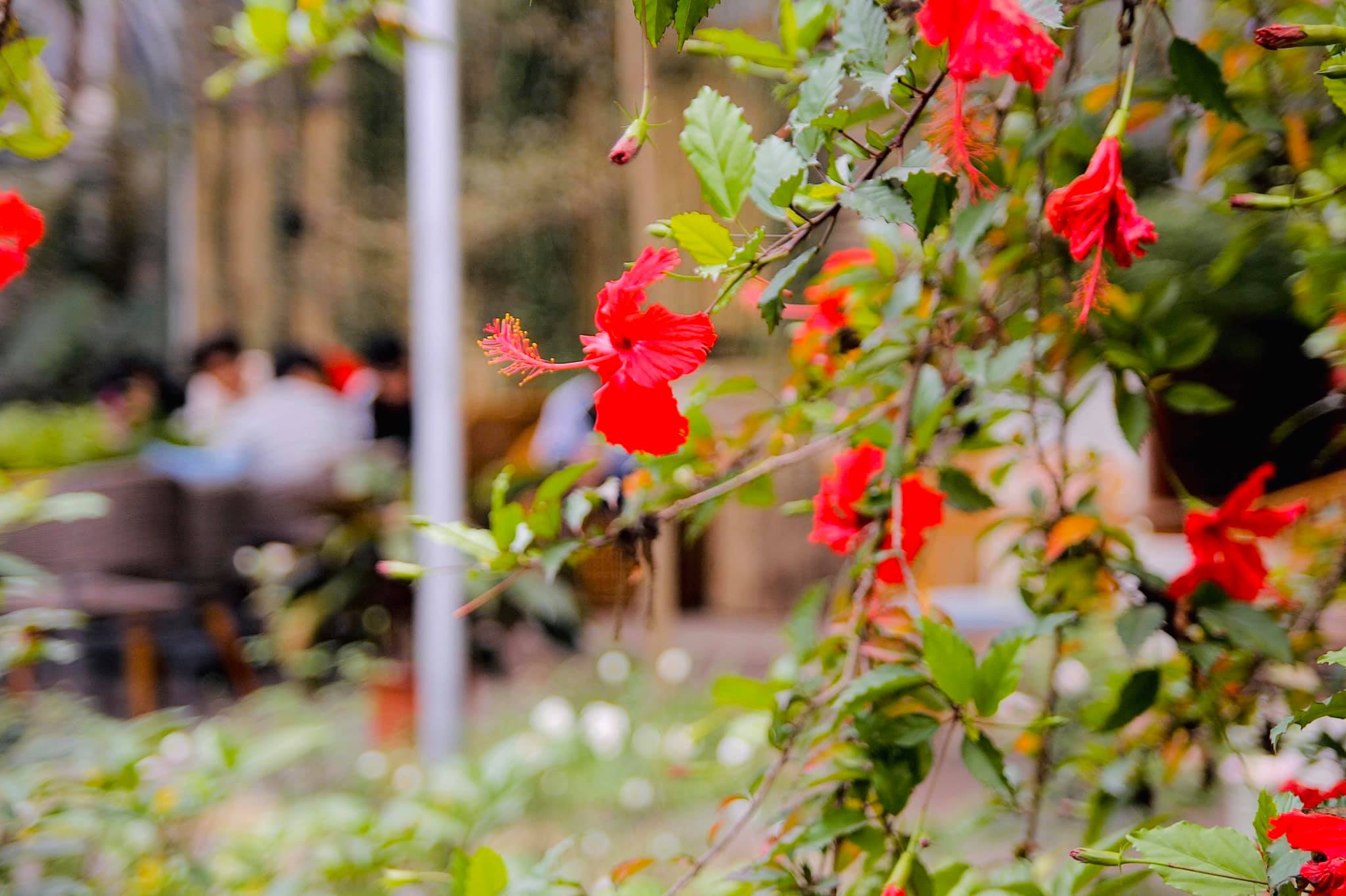 [☕️🇻🇳] Tháng 10 – October coffee – studio   🥤 Top1Coffee ☕️  “Take pictures in your mind of your childhood room
Memorize what it sounded like when your dad gets home
Remember the footsteps , shares-0✔️ , likes-20❤️️ , date-2020-02-23 01:15:42🇻🇳🇻🇳🇻🇳📰🆕