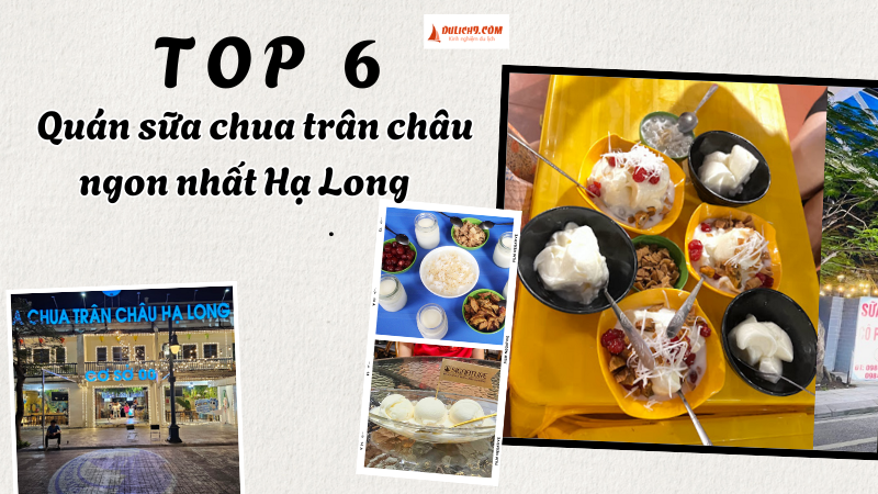 TOP quán sữa chua trân châu ngon ở Hạ Long nổi tiếng nhất