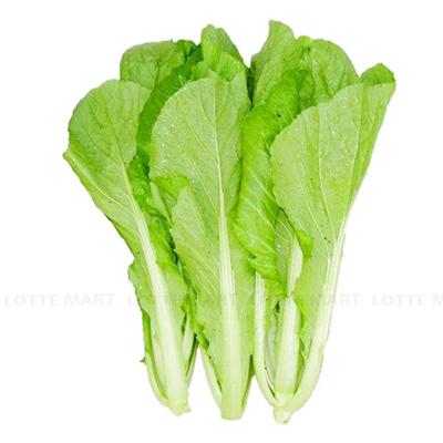 [🛒🇻🇳]Cải Bẹ Xanh 500g – , SKU – – lottemart.vn 🇻🇳🛒Top1Shop🛒 🇻🇳Top1Vietnam🇻🇳 🛍🛒🇻🇳