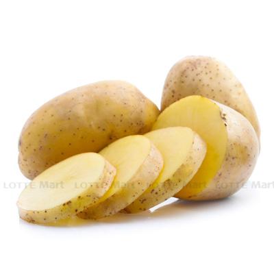 [🛒🇻🇳]Khoai tây vàng Đà Lạt Choice L 400g (ea) – , SKU – – lottemart.vn 🇻🇳🛒Top1Shop🛒 🇻🇳Top1Vietnam🇻🇳 🛍🛒🇻🇳