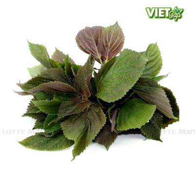 [🛒🇻🇳]Tía tô Vietgap gói 100g (ea) – , SKU – – lottemart.vn 🇻🇳🛒Top1Shop🛒 🇻🇳Top1Vietnam🇻🇳 🛍🛒🇻🇳