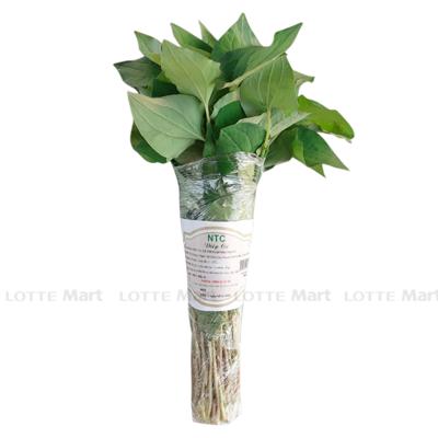 [🛒🇻🇳]Rau diếp cá 100g (ea) – , SKU – – lottemart.vn 🇻🇳🛒Top1Shop🛒 🇻🇳Top1Vietnam🇻🇳 🛍🛒🇻🇳