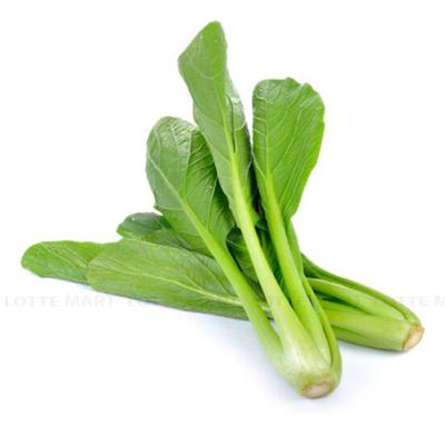 [🛒🇻🇳]Cải Ngọt 300g – , SKU – – lottemart.vn 🇻🇳🛒Top1Shop🛒 🇻🇳Top1Vietnam🇻🇳 🛍🛒🇻🇳