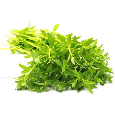 [🛒🇻🇳]Rau Om 50G (ea) – , SKU – – lottemart.vn 🇻🇳🛒Top1Shop🛒 🇻🇳Top1Vietnam🇻🇳 🛍🛒🇻🇳