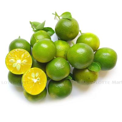 [🛒🇻🇳]Trái tắc (quất) 150g (ea) – , SKU – – lottemart.vn 🇻🇳🛒Top1Shop🛒 🇻🇳Top1Vietnam🇻🇳 🛍🛒🇻🇳