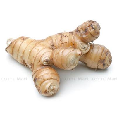 [🛒🇻🇳]Củ riềng 100g (ea) – , SKU – – lottemart.vn 🇻🇳🛒Top1Shop🛒 🇻🇳Top1Vietnam🇻🇳 🛍🛒🇻🇳