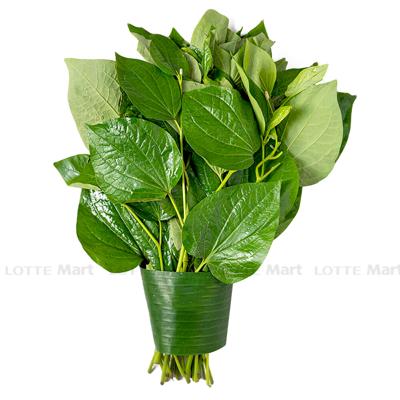 [🛒🇻🇳]Lá lốt 100g (ea) – , SKU – – lottemart.vn 🇻🇳🛒Top1Shop🛒 🇻🇳Top1Vietnam🇻🇳 🛍🛒🇻🇳