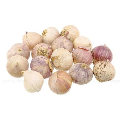 [🛒🇻🇳]Tỏi cô đơn 300g (ea) – , SKU – – lottemart.vn 🇻🇳🛒Top1Shop🛒 🇻🇳Top1Vietnam🇻🇳 🛍🛒🇻🇳