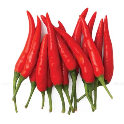 [🛒🇻🇳]Ớt Hiểm Gói 50g (ea) – , SKU – – lottemart.vn 🇻🇳🛒Top1Shop🛒 🇻🇳Top1Vietnam🇻🇳 🛍🛒🇻🇳