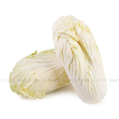 [🛒🇻🇳]Cải thảo Đà Lạt 1kg – , SKU – – lottemart.vn 🇻🇳🛒Top1Shop🛒 🇻🇳Top1Vietnam🇻🇳 🛍🛒🇻🇳