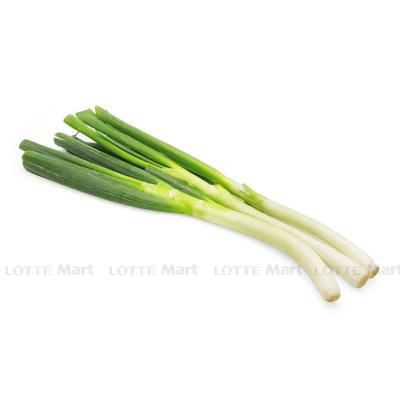 [🛒🇻🇳]Hành Paro 300g – , SKU – – lottemart.vn 🇻🇳🛒Top1Shop🛒 🇻🇳Top1Vietnam🇻🇳 🛍🛒🇻🇳