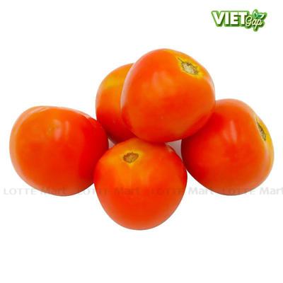 [🛒🇻🇳]Cà chua 500g – , SKU – – lottemart.vn 🇻🇳🛒Top1Shop🛒 🇻🇳Top1Vietnam🇻🇳 🛍🛒🇻🇳