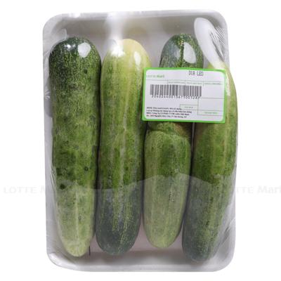 [🛒🇻🇳]Dưa leo 500g – , SKU – – lottemart.vn 🇻🇳🛒Top1Shop🛒 🇻🇳Top1Vietnam🇻🇳 🛍🛒🇻🇳