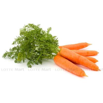 [🛒🇻🇳]Cà Rốt Hà Nội 500g – , SKU – – lottemart.vn 🇻🇳🛒Top1Shop🛒 🇻🇳Top1Vietnam🇻🇳 🛍🛒🇻🇳