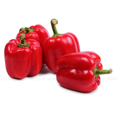 [🛒🇻🇳]Ớt chuông đỏ Đà Lạt 500g – , SKU – – lottemart.vn 🇻🇳🛒Top1Shop🛒 🇻🇳Top1Vietnam🇻🇳 🛍🛒🇻🇳