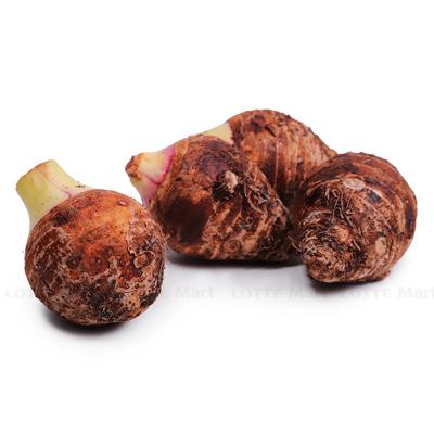 [🛒🇻🇳]Khoai môn cao 800g – , SKU – – lottemart.vn 🇻🇳🛒Top1Shop🛒 🇻🇳Top1Vietnam🇻🇳 🛍🛒🇻🇳