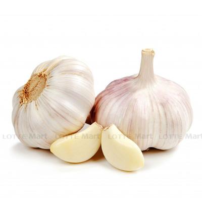 [🛒🇻🇳]Tỏi khô Bắc 400g – , SKU – – lottemart.vn 🇻🇳🛒Top1Shop🛒 🇻🇳Top1Vietnam🇻🇳 🛍🛒🇻🇳