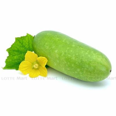 [🛒🇻🇳]Bí đao xanh Mộc Châu 1kg – , SKU – – lottemart.vn 🇻🇳🛒Top1Shop🛒 🇻🇳Top1Vietnam🇻🇳 🛍🛒🇻🇳