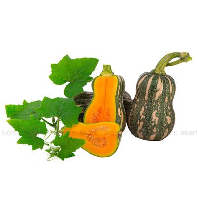 [🛒🇻🇳]Bí đỏ hữu cơ 1kg – , SKU – – lottemart.vn 🇻🇳🛒Top1Shop🛒 🇻🇳Top1Vietnam🇻🇳 🛍🛒🇻🇳