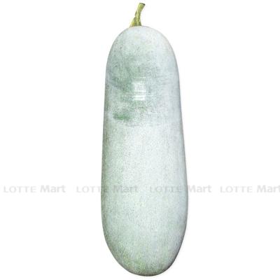 [🛒🇻🇳]Bí phấn thơm Bắc Kạn 1kg – , SKU – – lottemart.vn 🇻🇳🛒Top1Shop🛒 🇻🇳Top1Vietnam🇻🇳 🛍🛒🇻🇳