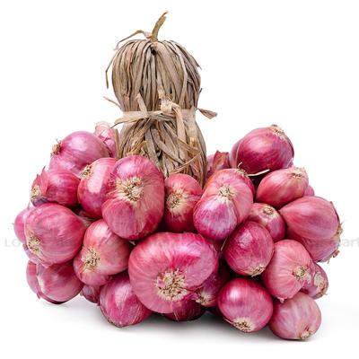 [🛒🇻🇳]Hành Khô Bắc An Toàn 500g – , SKU – – lottemart.vn 🇻🇳🛒Top1Shop🛒 🇻🇳Top1Vietnam🇻🇳 🛍🛒🇻🇳