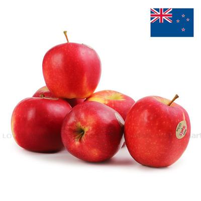 [🛒🇻🇳]Táo Premier Star New Zealand (size 5-6 Trái/kg) 500g – , SKU – – lottemart.vn 🇻🇳🛒Top1Shop🛒 🇻🇳Top1Vietnam🇻🇳 🛍🛒🇻🇳