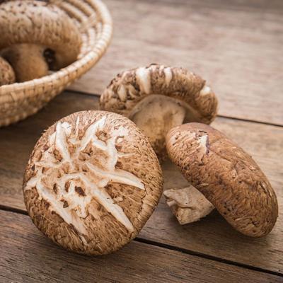 [🛒🇻🇳]Nấm Hương Tươi 200g (ea) – , SKU – – lottemart.vn 🇻🇳🛒Top1Shop🛒 🇻🇳Top1Vietnam🇻🇳 🛍🛒🇻🇳