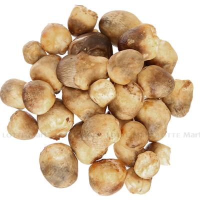 [🛒🇻🇳]Nấm rơm 200g – , SKU – – lottemart.vn 🇻🇳🛒Top1Shop🛒 🇻🇳Top1Vietnam🇻🇳 🛍🛒🇻🇳